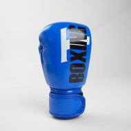 Gant Boxe Tboxing