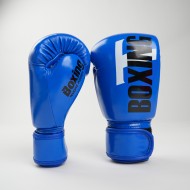 Gant Boxe Tboxing