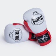Gant Boxe Boxfist