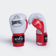 Gant Boxe Boxfist