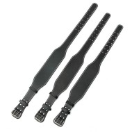 Ceinture Musculation Althero