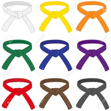 Ceinture Karate/judo