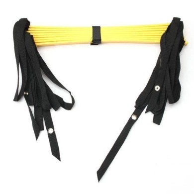 Échelle de Sport 8 Sections 4 Mètres