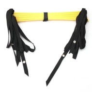 Échelle de Sport 8 Sections 4 Mètres