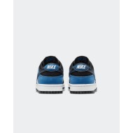 Chaussure Nike Dunk Low Retro