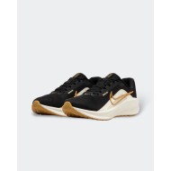 Chaussures Nike Downshifter 13