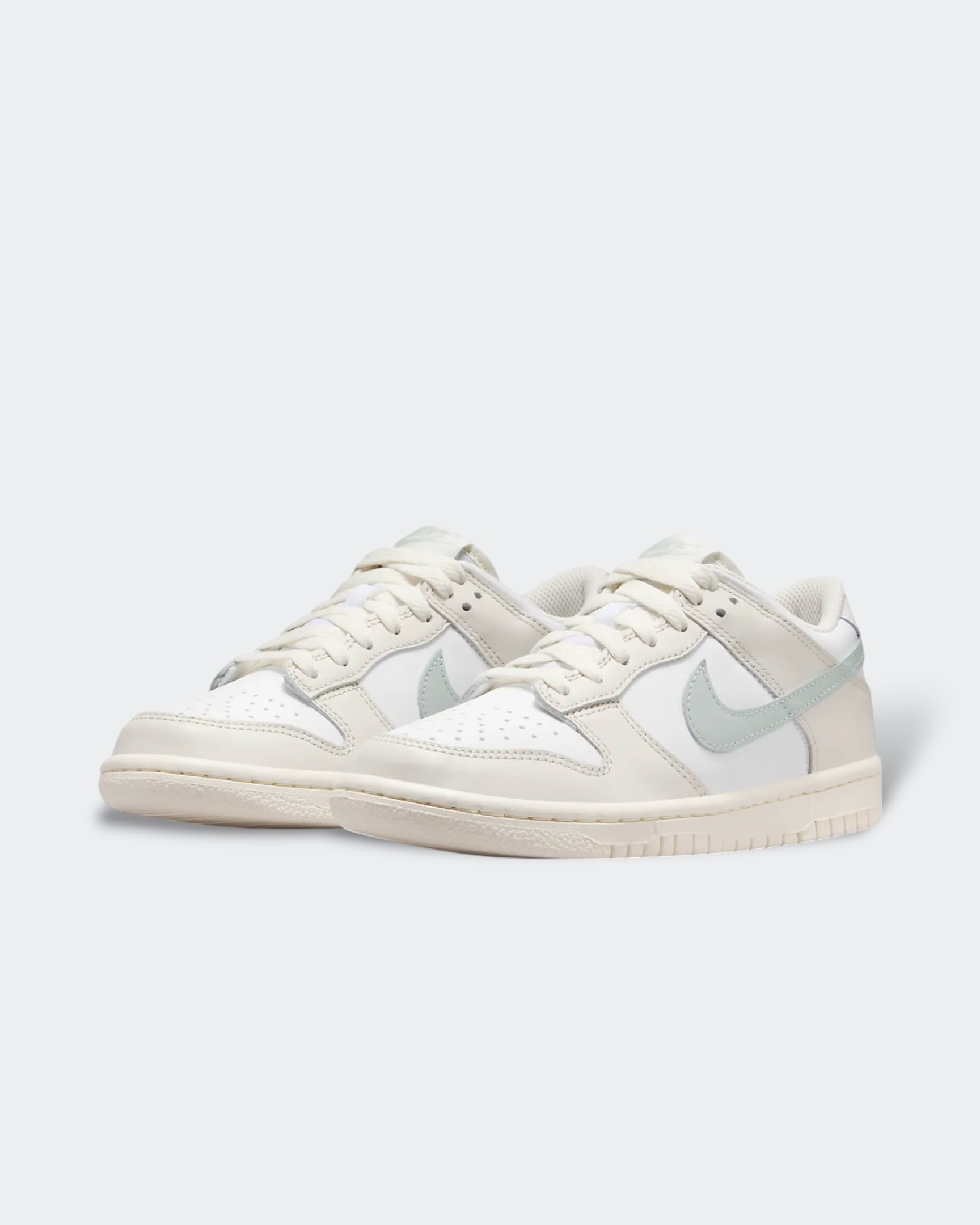 Chaussure Nike Dunk Low Bg