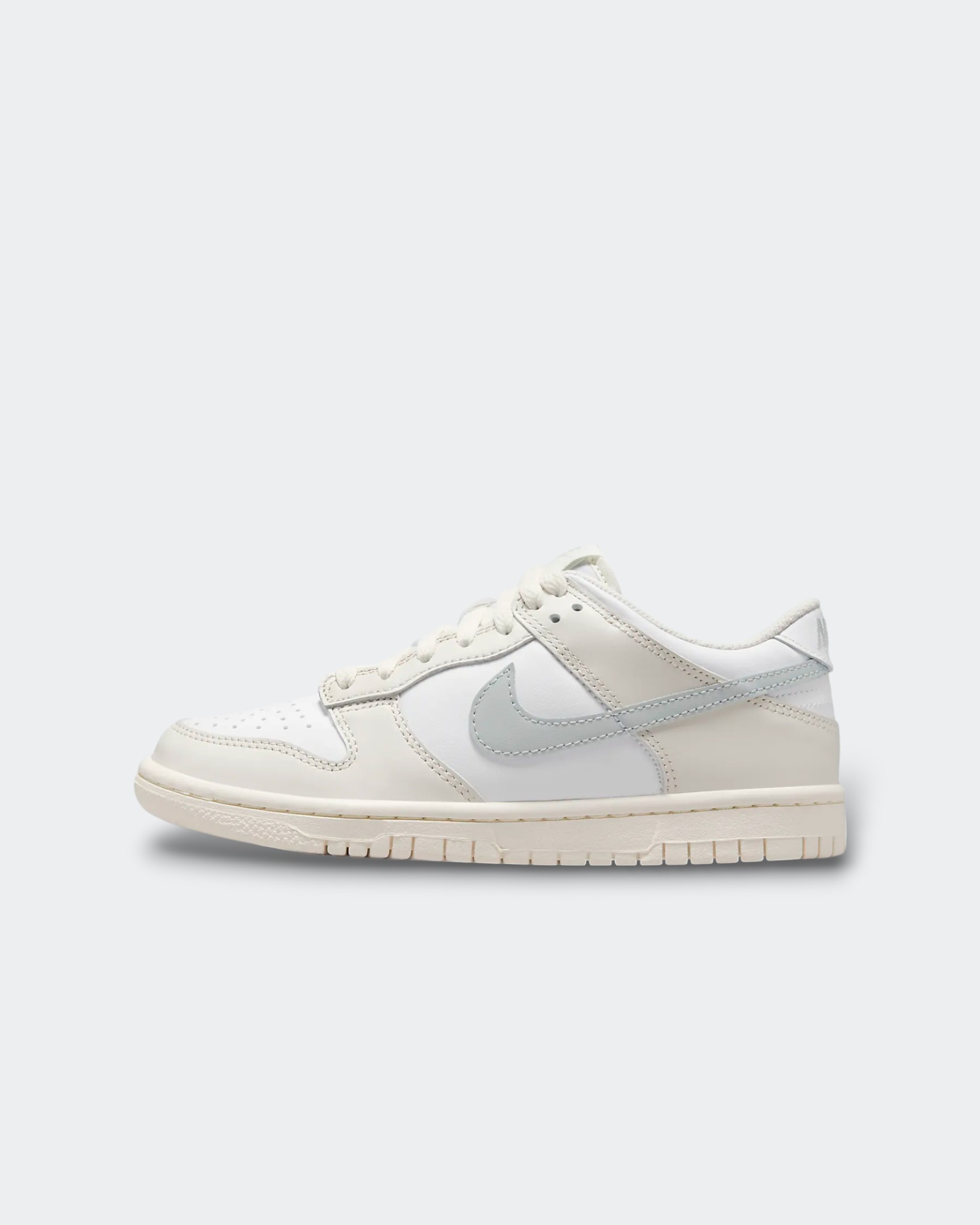 Chaussure Nike Dunk Low Bg