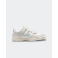 Chaussure Nike Dunk Low Bg