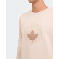 4w,ml Aron 16sd4001 4pr