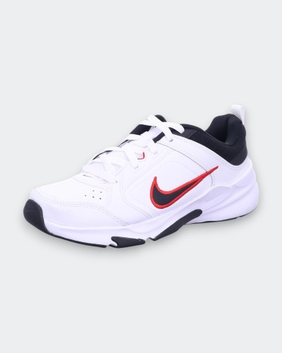 Chaussures Nike Defyallday