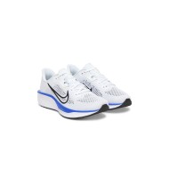 Chaussure Nike Quest 6