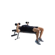 Banc Abdo+ Haltere 10kg