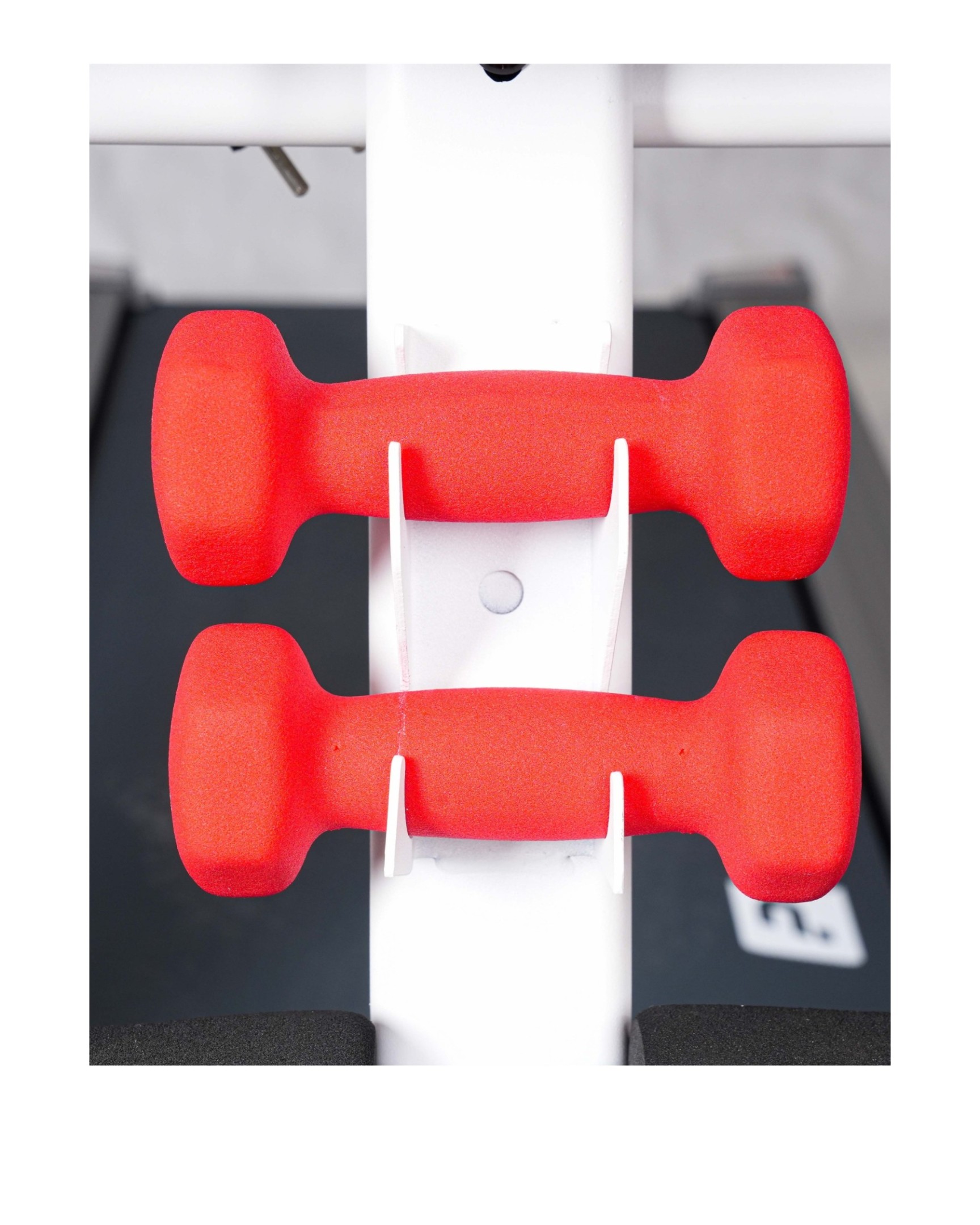 Tapis Roulant Parcours Fitness Q6