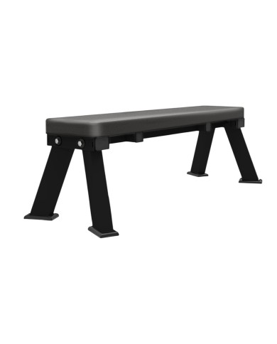 Flat Bench Tm34 Psp