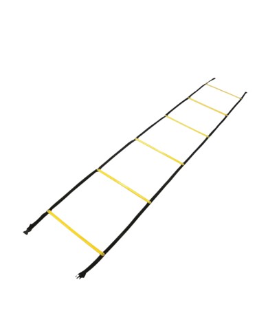 Echelle Sport 16 Sections 8 Metre