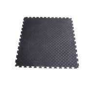 Tatamis Professionnel 22mm