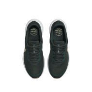 Chaussure Nike Revolution 7