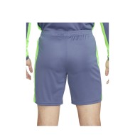 Short Nike Dri-fit Academy