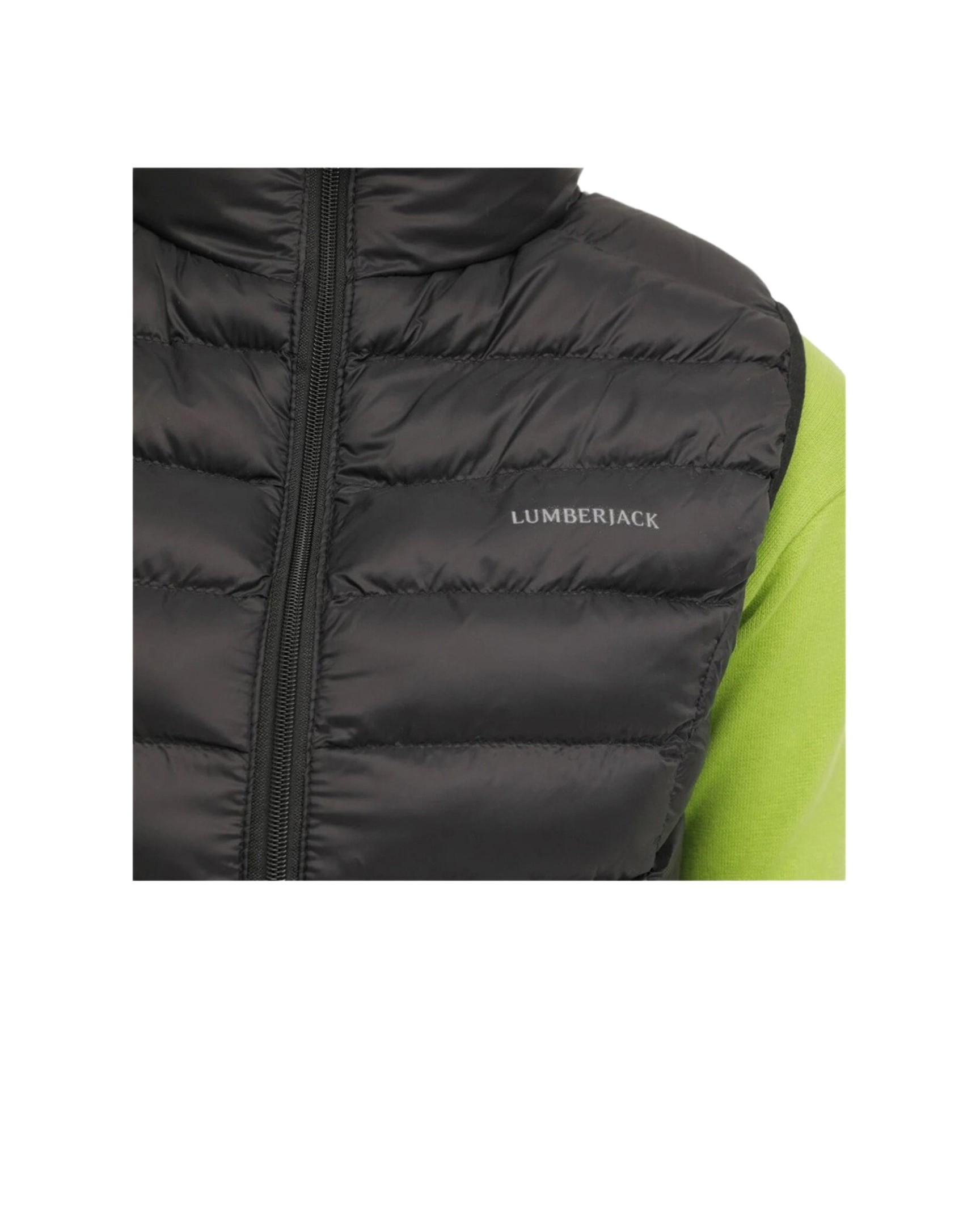 Veste Lumberjack 2w W-sn34 Bas