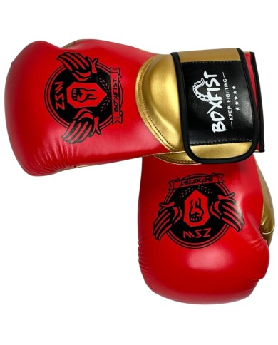 Gant Boxe Boxfist Oz T6
