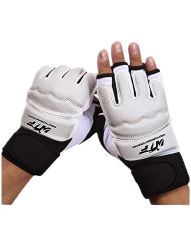 Gant Taekwondo