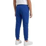 Fit  Pant Kari