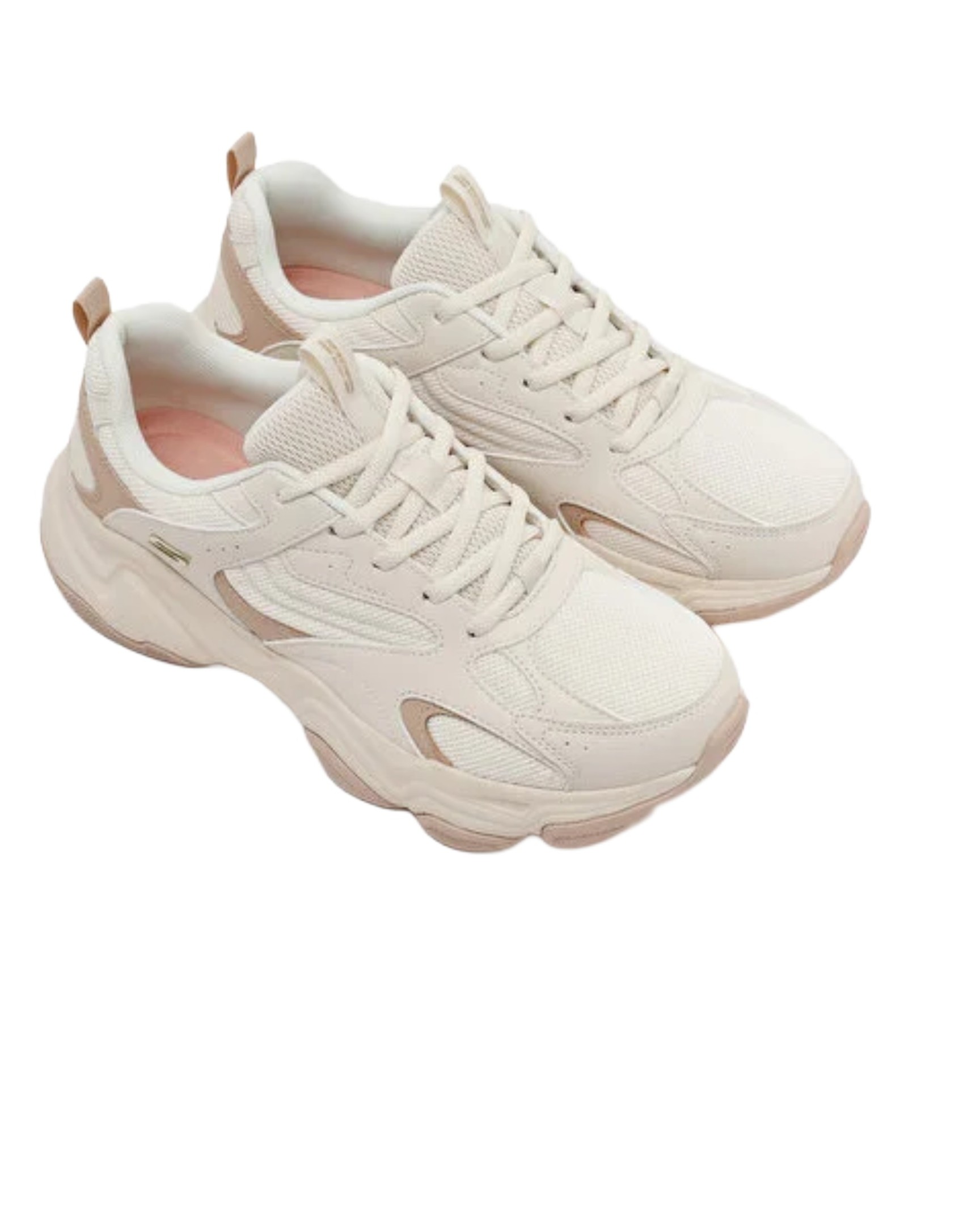 Chaussure Skechers Bobs Diego