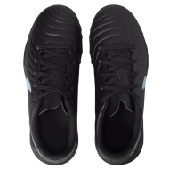 Turf Nike Legend 10 Club