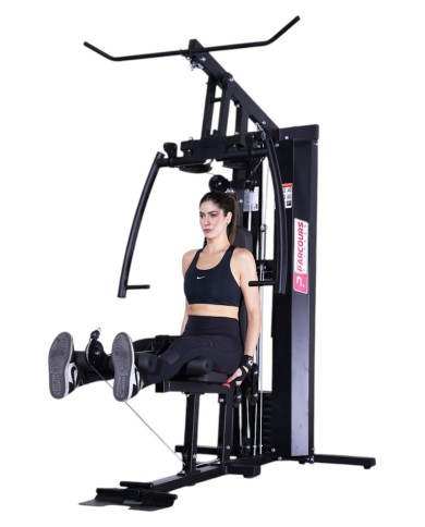 Machine  Multifonction 60 Kg