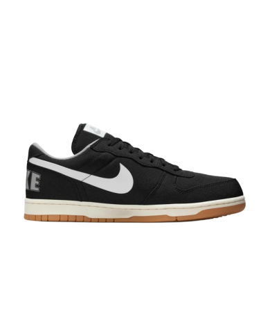 Chaussure Nike Big Nike Low Lu X
