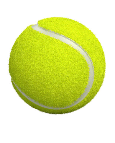 Boite 3 Ball Tennis Premium