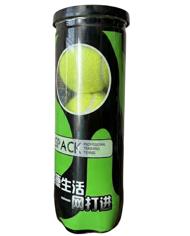 Boite 3 Ball Tennis Premium