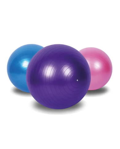 Gym Ball Gymnastic 55 Cm