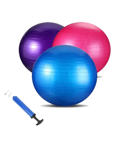 Gym Ball Gymnastic 65 Cm