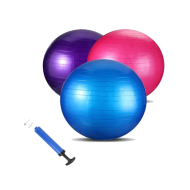 Gym Ball Gymnastic 55 Cm