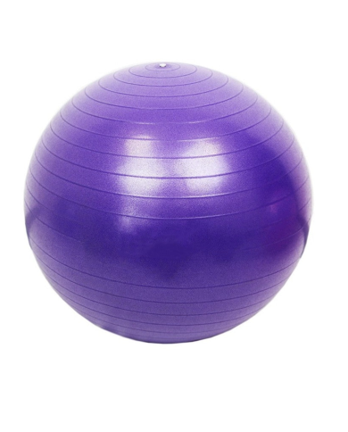 Gym Ball Gymnastic 65 Cm