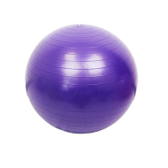 Gym Ball Gymnastic 65 Cm