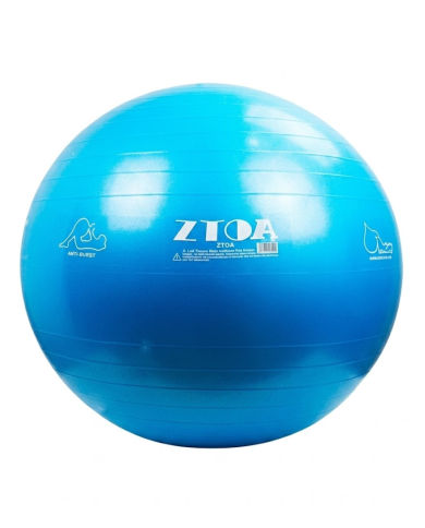 Gym Ball Gymnastic 55 Cm