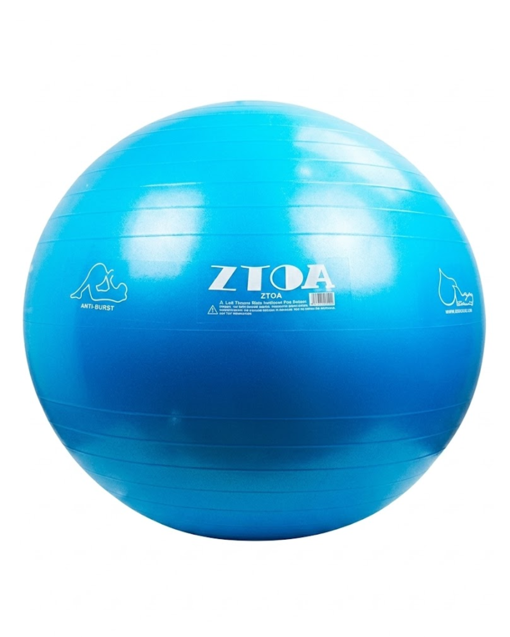 Gym Ball Gymnastic 55 Cm