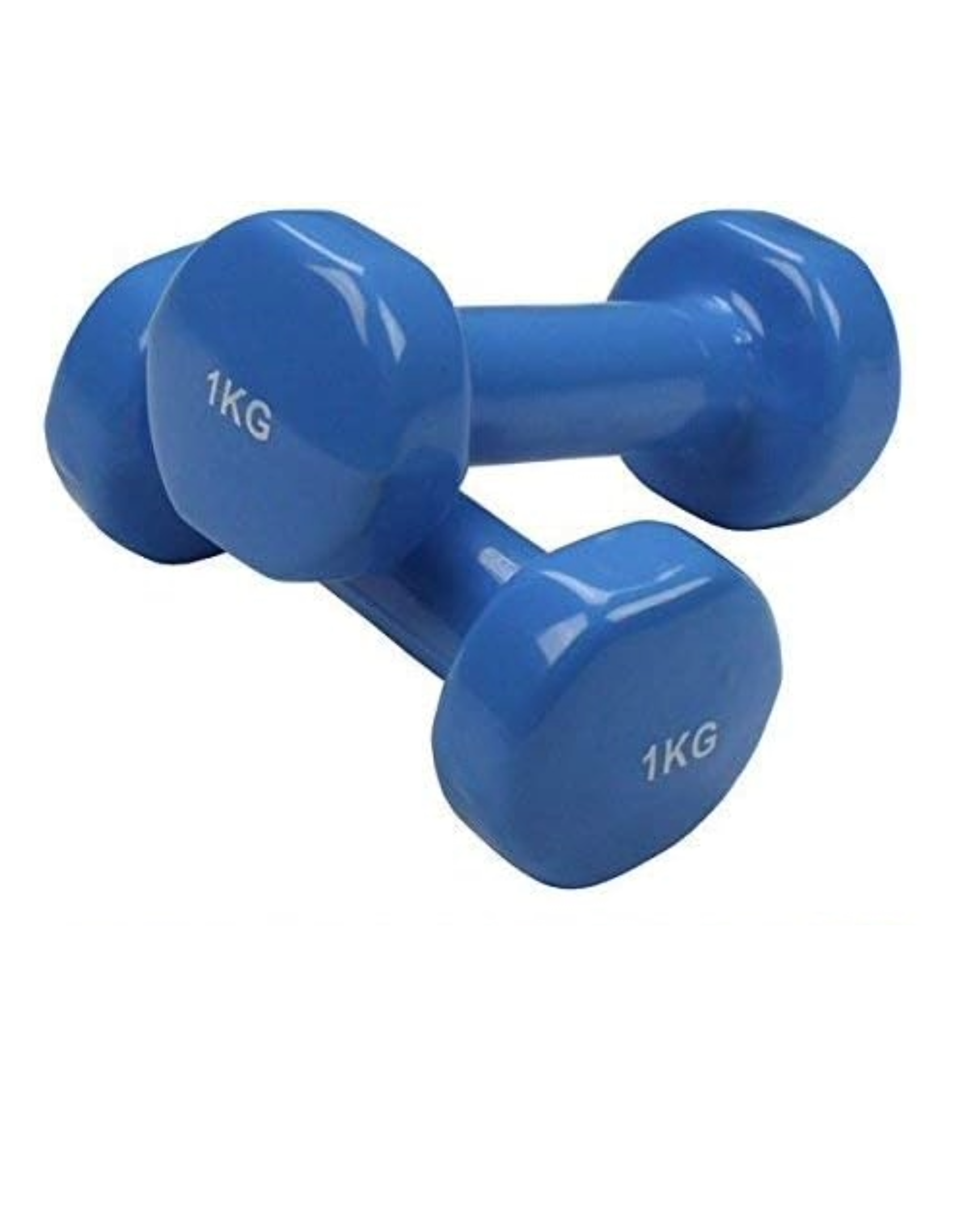 Halter Vinyle 1 Kg