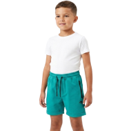 Short Auslese Homme Lycra Vert