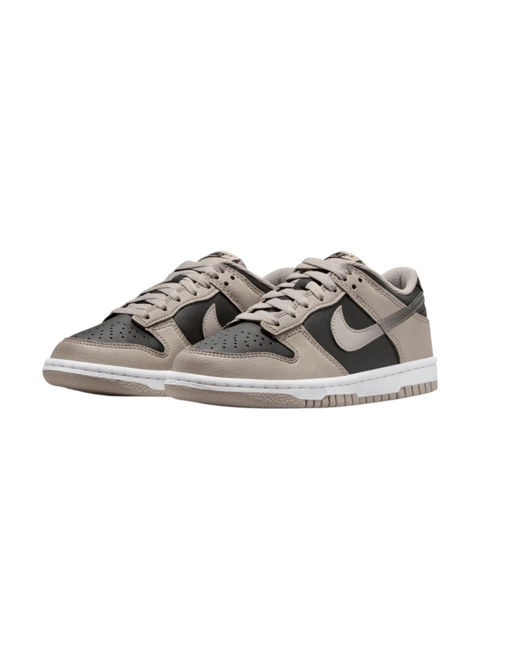 Chaussure Nike Dunk Low Gs Pdr