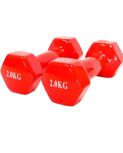 Halter Vinyle 2 Kg